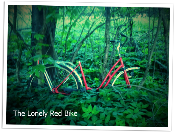 An abandoned red bike against a tree.