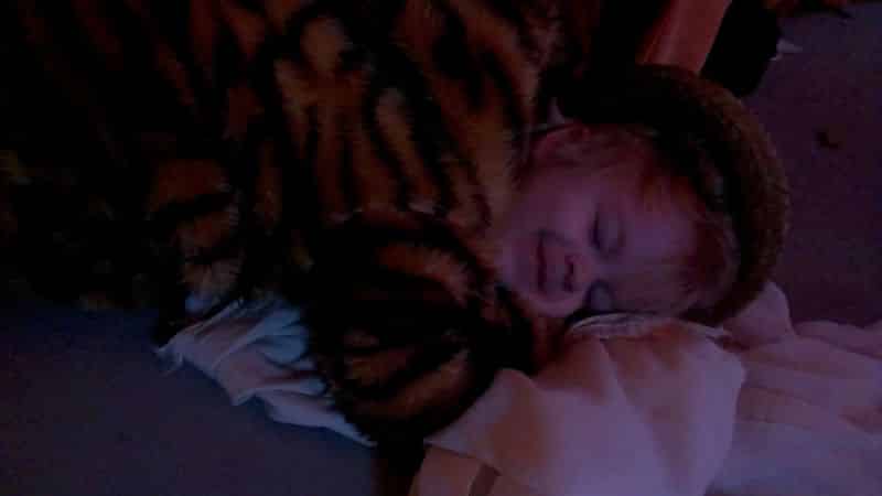 Lucien pretending to sleep whilst wearing a tiger-onsie. 