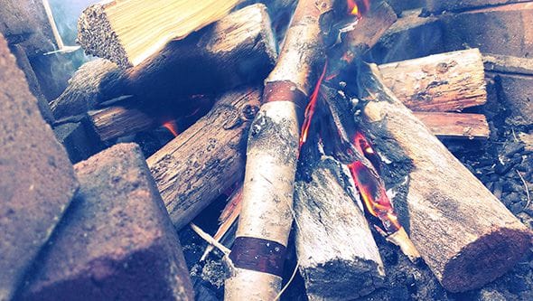 An open fire with logs of birch and pine.