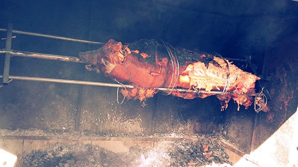 A hog roasting under a bed of coal.