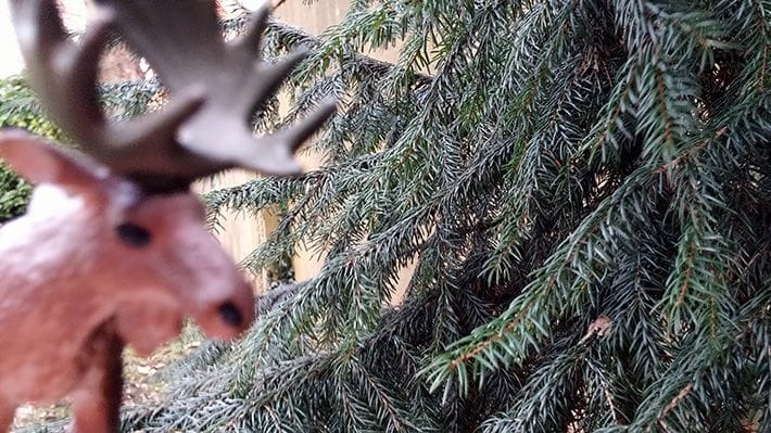 Plastic elk photobombs a photo of a pine tree