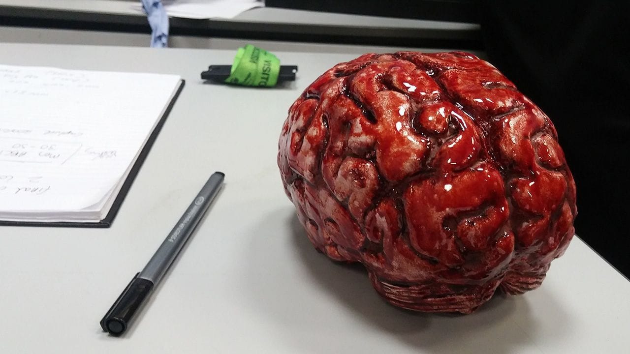 A fake brain covered in theatrical blood.