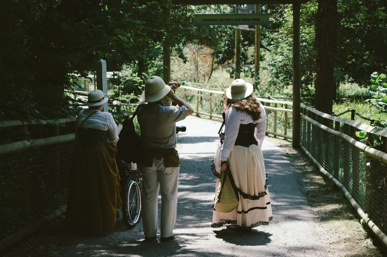 A group of people dressed as Victorian explorers, wandering the wild animal park.