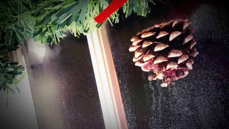 Pine-cone decoration hanging in a window.