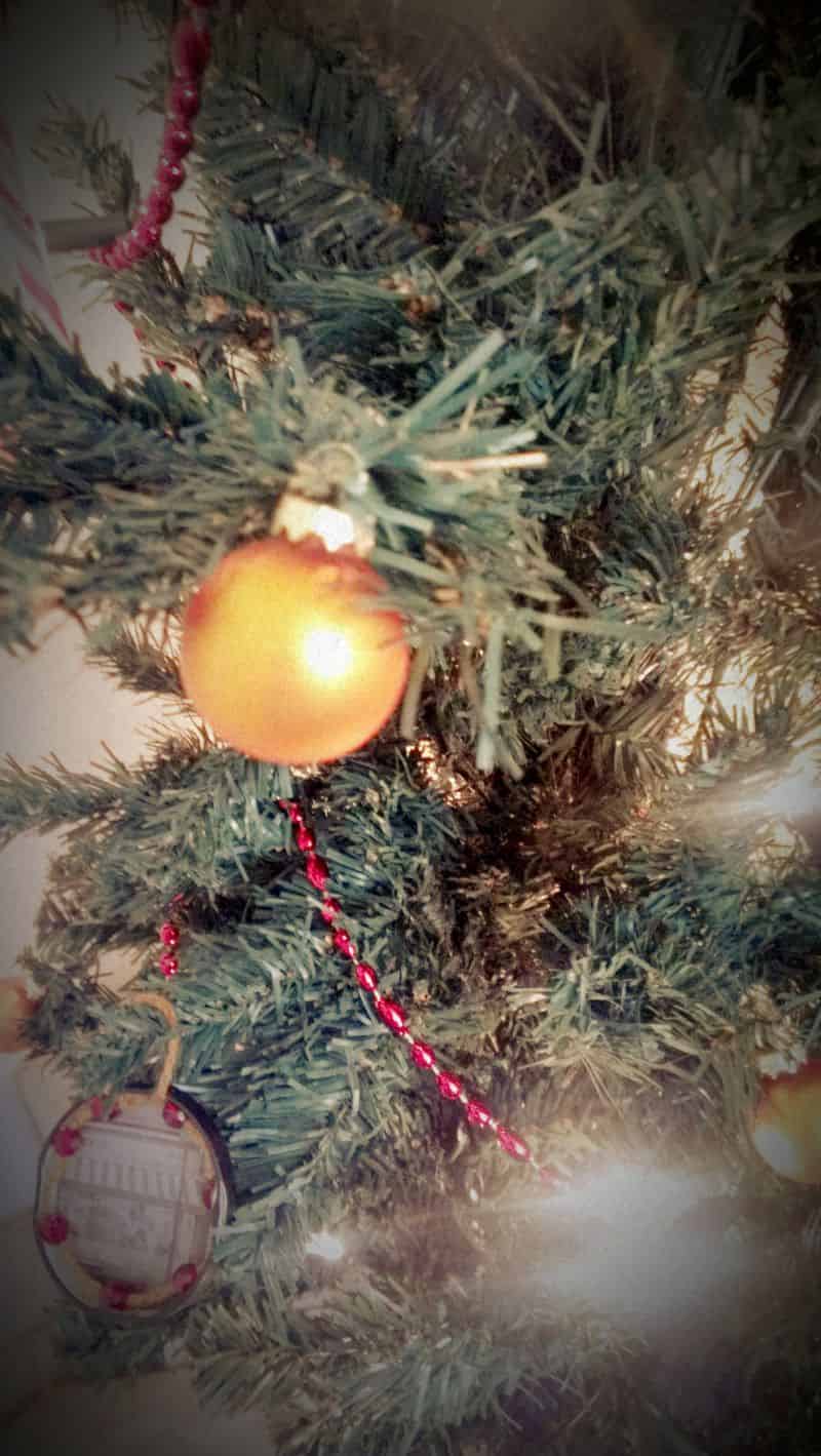 Close-up of bauble in Christmas tree.