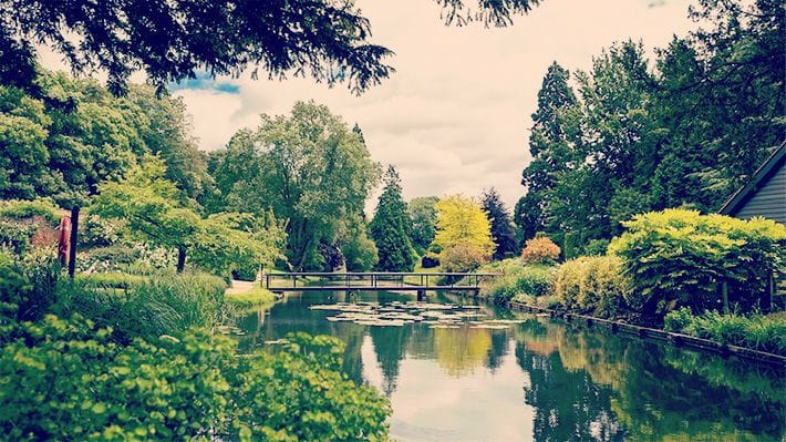 Beautiful pond at Turkey Mill, Maidstone