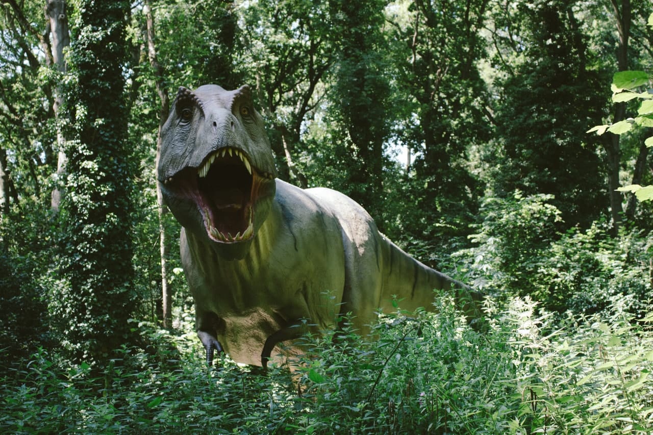 A Tyrannosaurus Rex coming toward you.